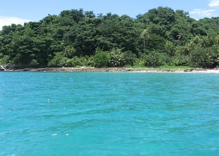 Dive And Green Capurgana