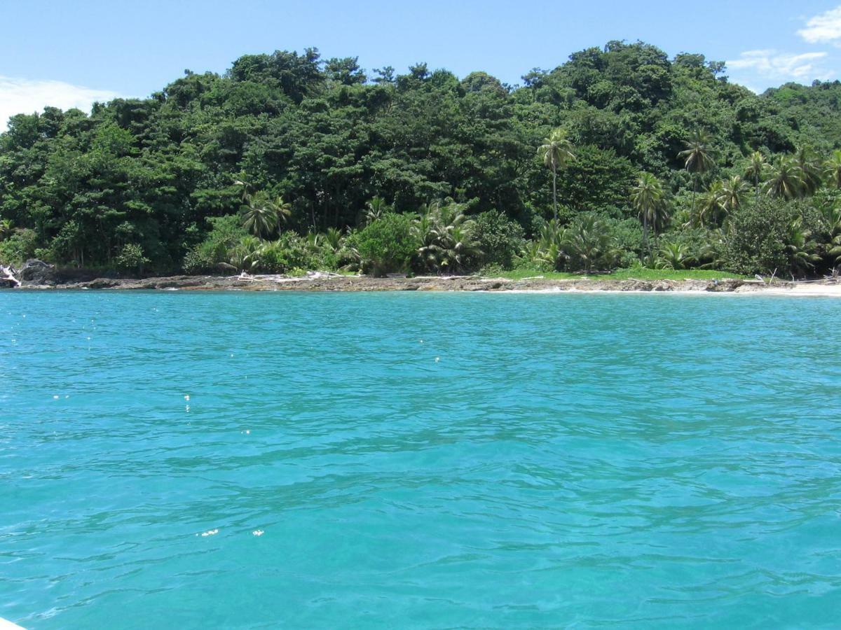 Dive And * Capurganá